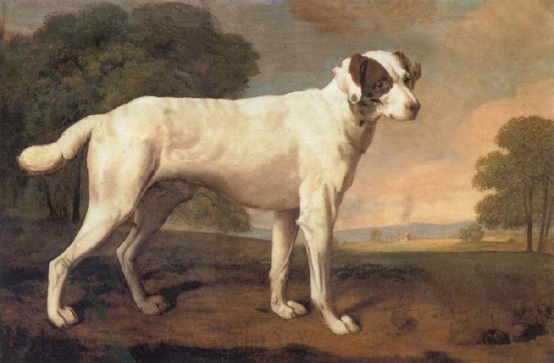George Stubbs Dog France oil painting art